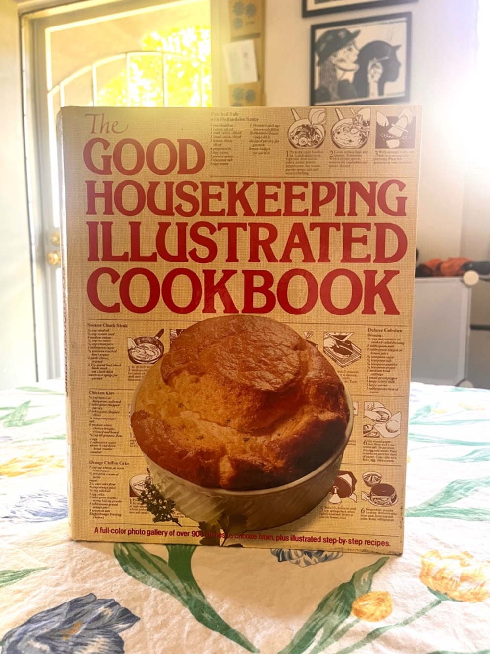1980 The Illustrated Cookbook